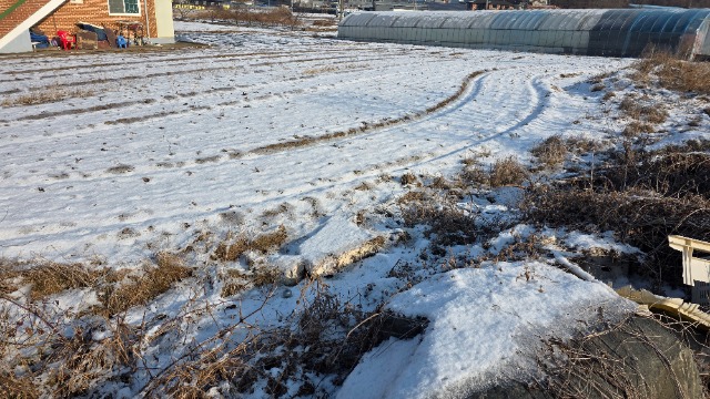 20260114_105634.jpg