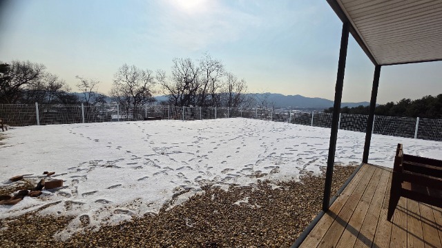 20260114_123246.jpg