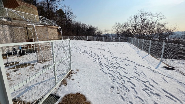 20260114_123322.jpg