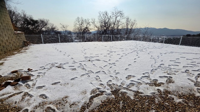 20260114_123221.jpg