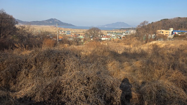 20260117_150519.jpg
