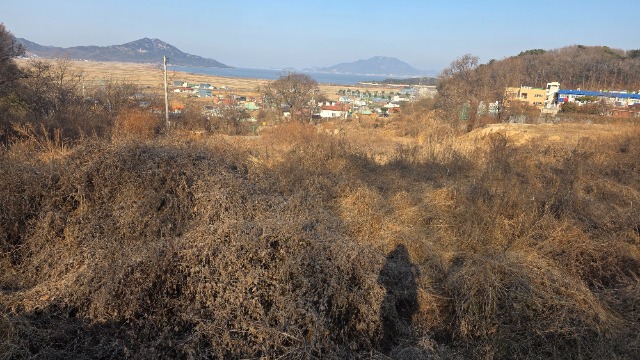 20260117_150523.jpg