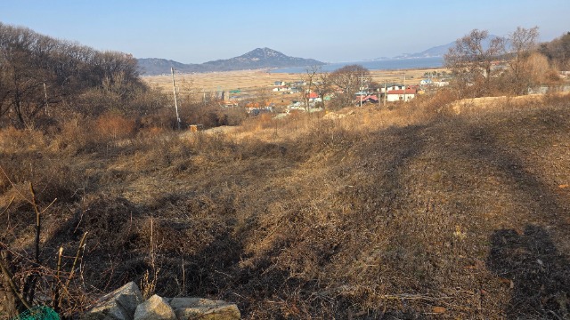 20260117_150552.jpg
