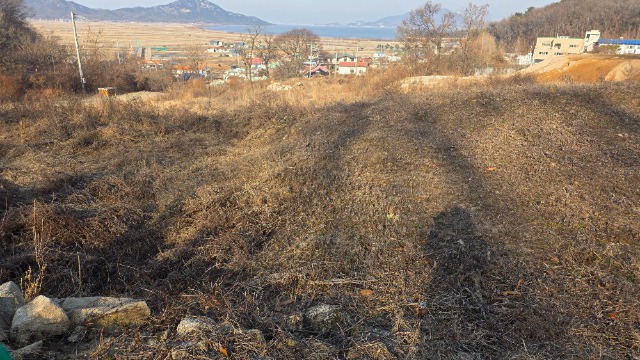 20260117_150550.jpg