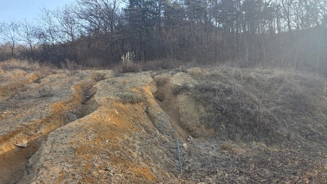 20260117_150613.jpg