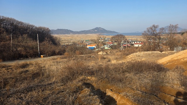 20260117_150627.jpg