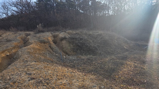 20260117_150634.jpg