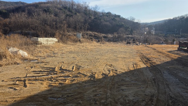 20260124_154629.jpg