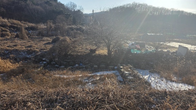 20260124_154501.jpg