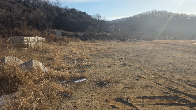 20260124_154638.jpg