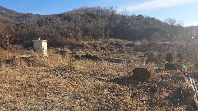 20260124_154609.jpg