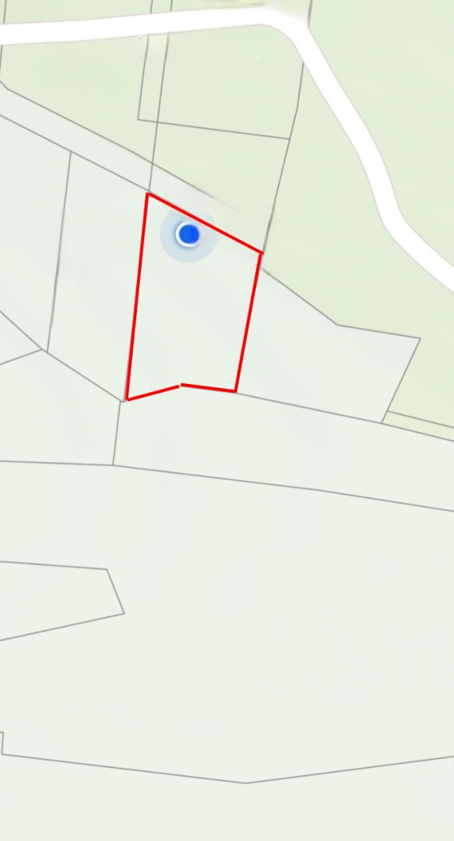 Screenshot_20260124_154708_NAVER Map.jpg