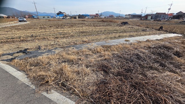 20260130_144351.jpg