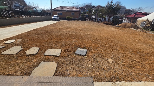 20260209_123303.jpg
