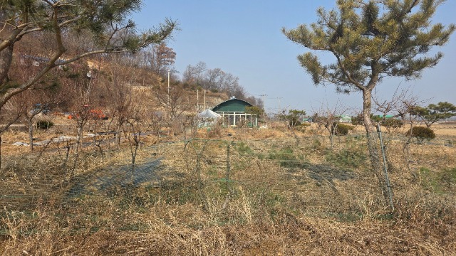 20260220_120511.jpg