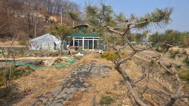 20260220_120626.jpg