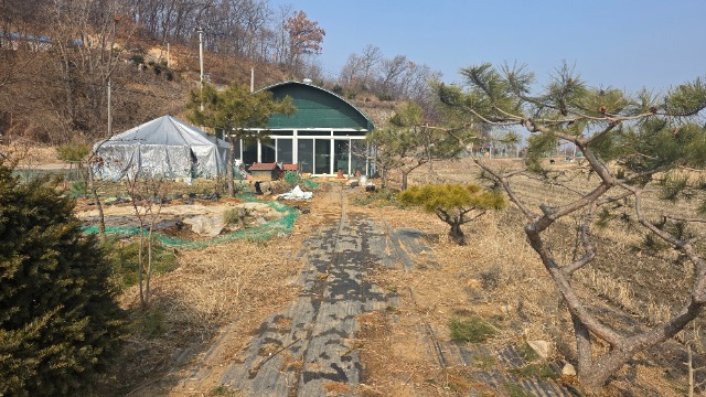 20260220_120617.jpg