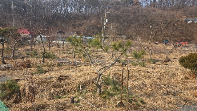 20260220_120557.jpg