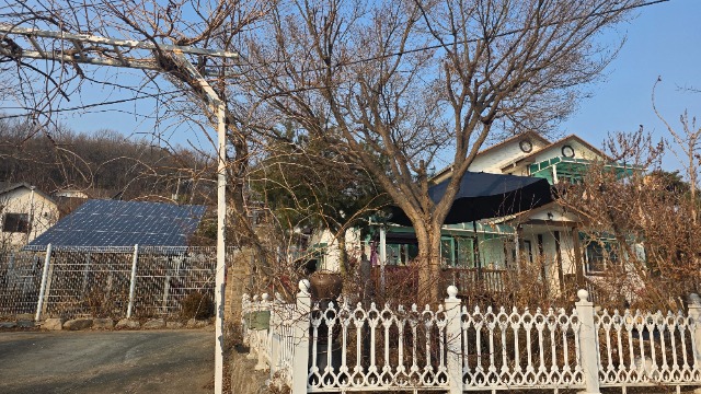 20260220_160909.jpg
