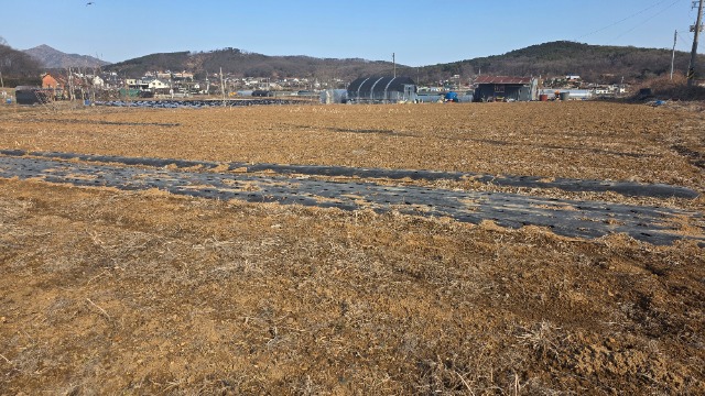 20260227_101318.jpg