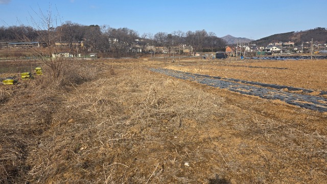20260227_101323.jpg