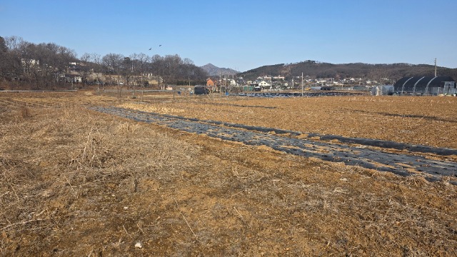 20260227_101321.jpg