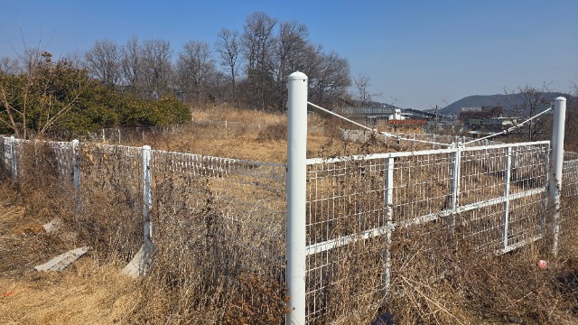 20260310_132345.jpg