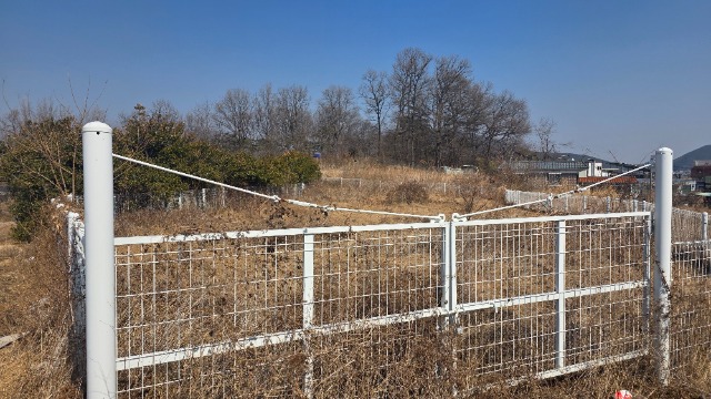 20260310_132551.jpg