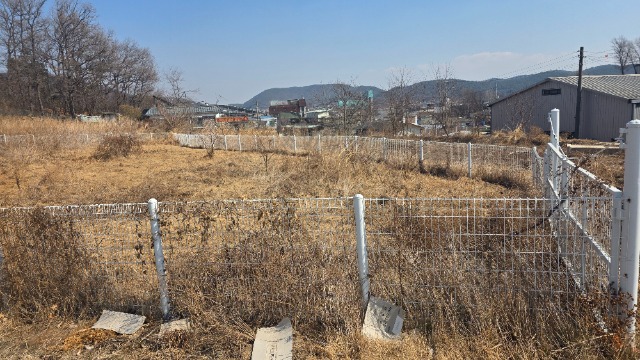 20260310_132600.jpg