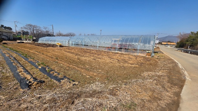 20260310_141000.jpg