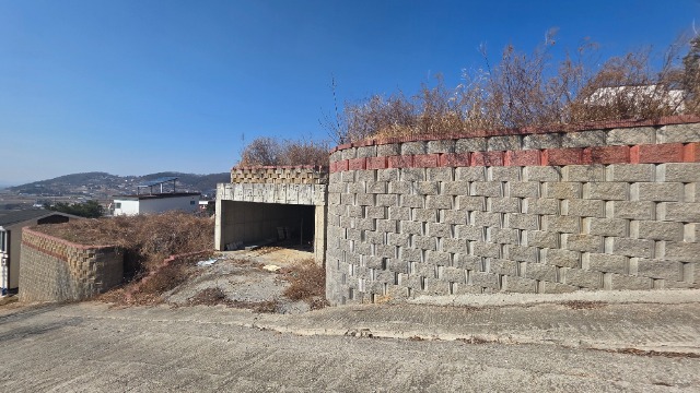 20260310_143151.jpg