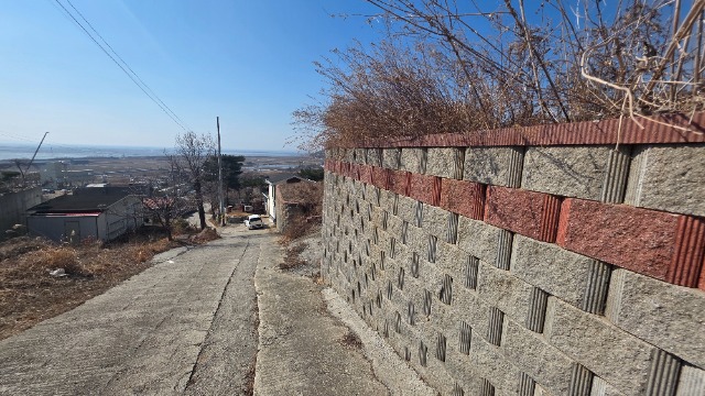 20260310_143141.jpg
