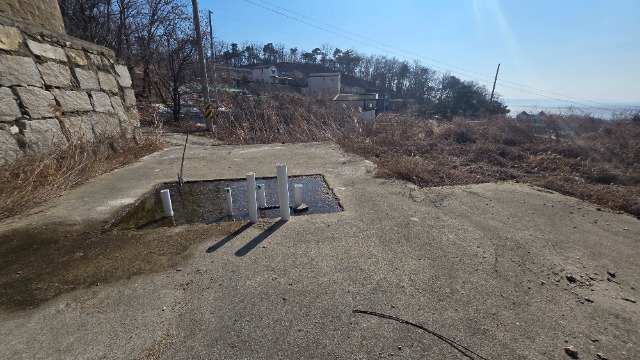 20260310_143316.jpg