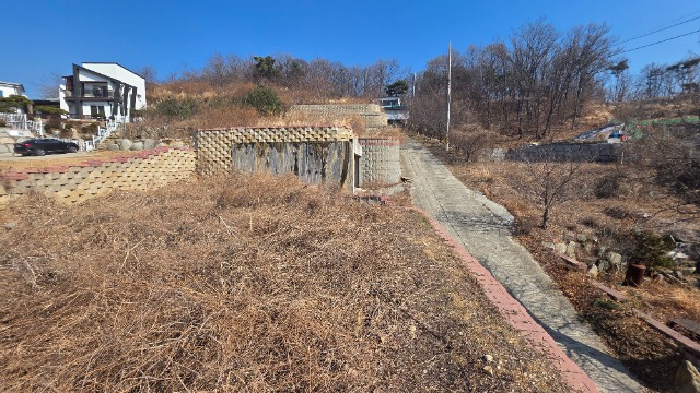20260310_143456.jpg