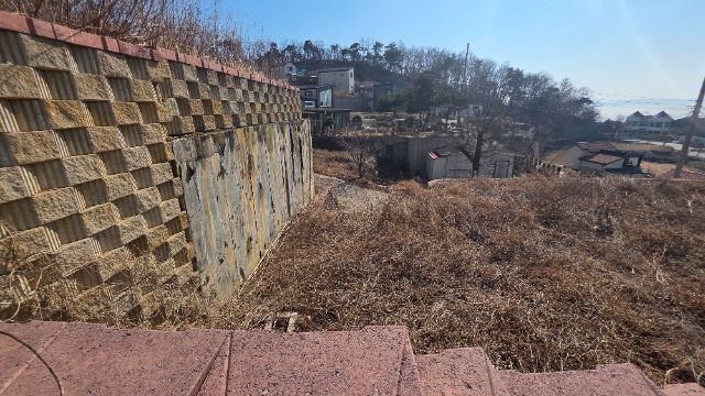 20260310_143413.jpg