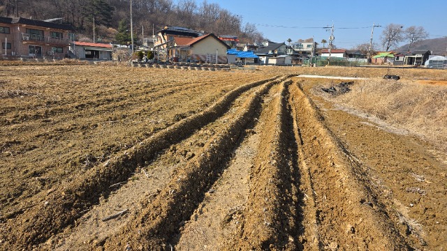 20260310_150546.jpg