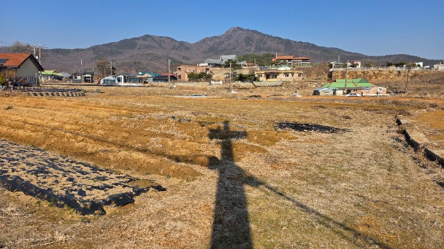 20260310_150453.jpg