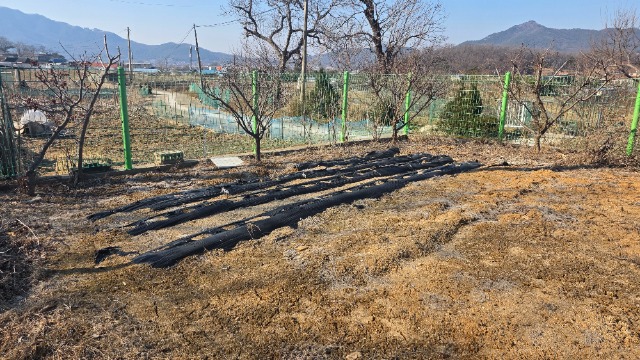 20260310_153935.jpg