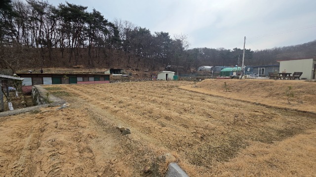20260314_140226.jpg