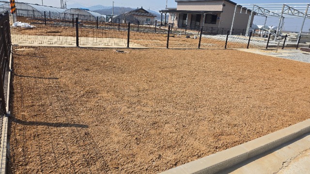20260317_132140.jpg