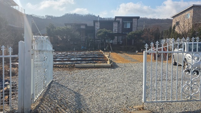 20260320_094505.jpg