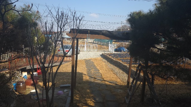 20260320_094651.jpg