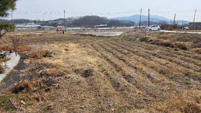 20260323_125254.jpg