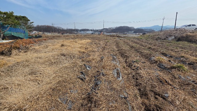 20260323_125436.jpg
