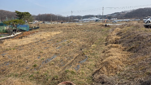 20260323_125235.jpg