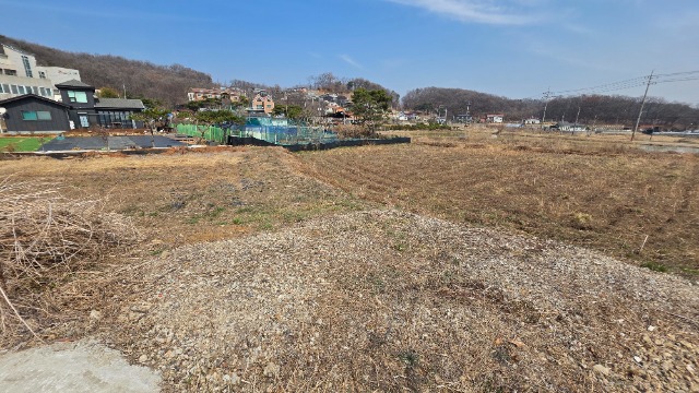 20260323_125114.jpg
