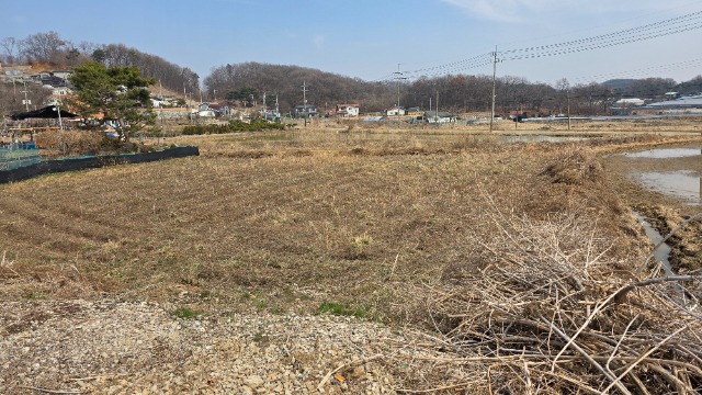 20260323_130045.jpg