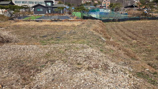 20260323_130054.jpg