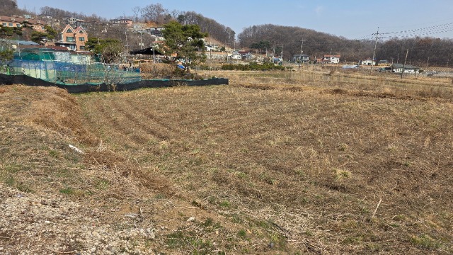 20260323_130056.jpg