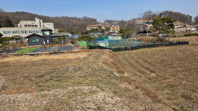 20260323_130104.jpg